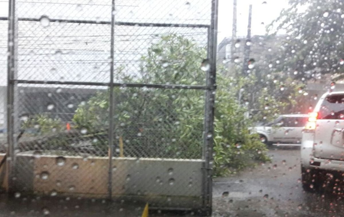 Lluvias, inundaciones y árboles caídos, así se inicia la semana en Panamá