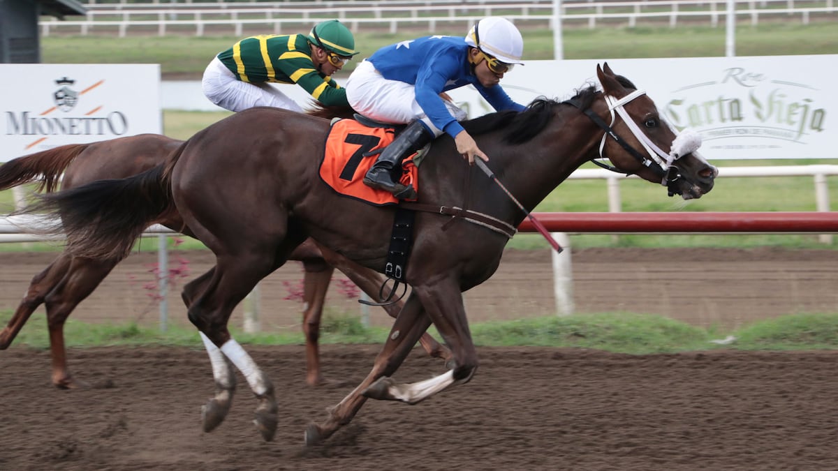 Hipódromo Presidente Remón calienta la pelea por lideratos