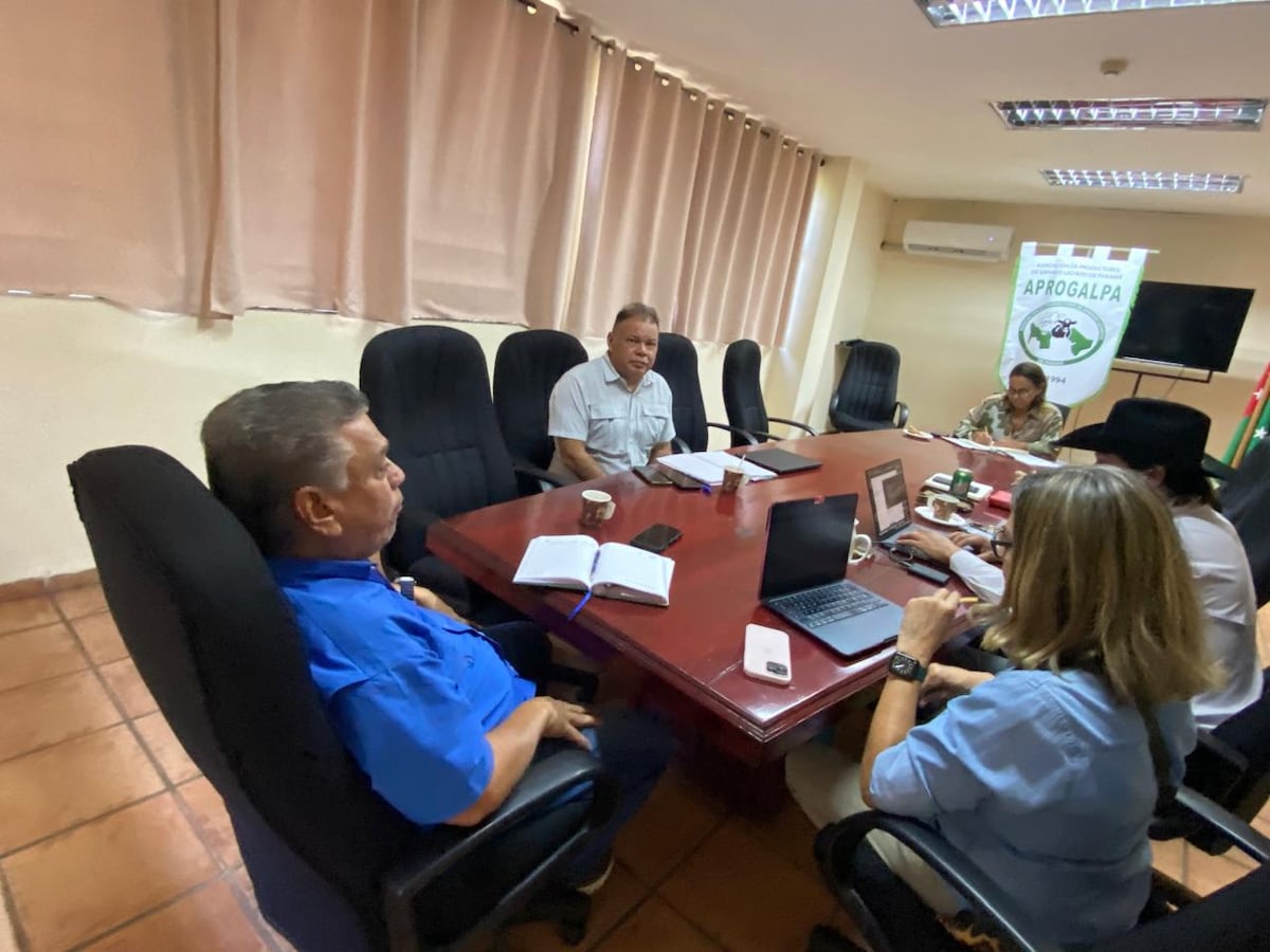 Impulsan control lechero para mejorar la genética del ganado en Panamá
