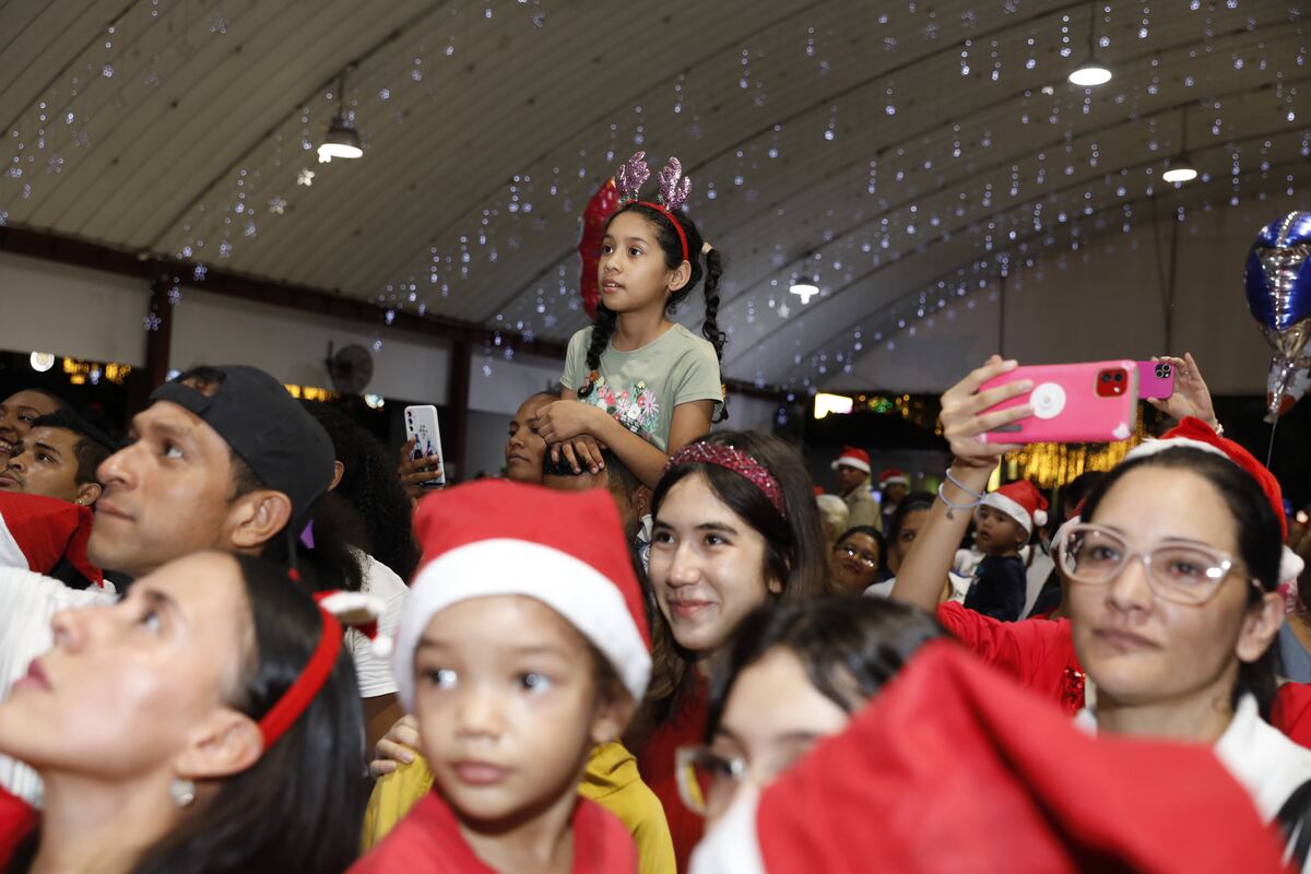 AGENDA CULTURAL: Este jueves bazar y concierto de Navidad en el Parque Omar