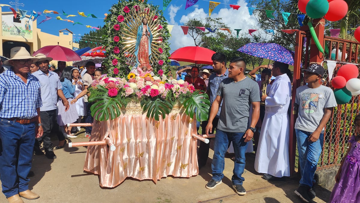 Honran a la Virgen de Guadalupe en San Carlos