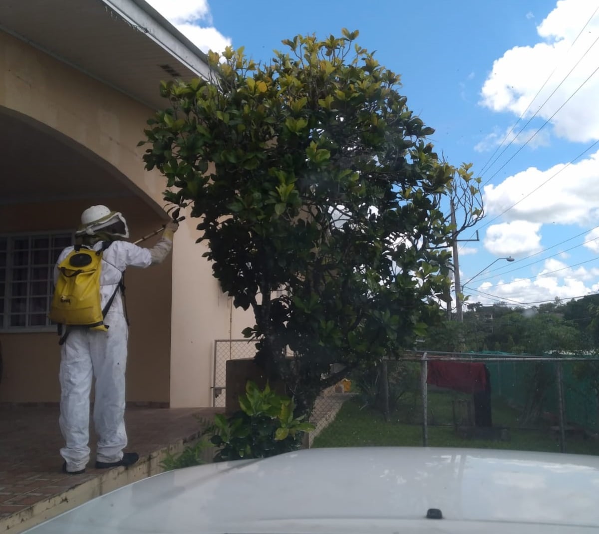 Bomberos de Coclé responden a ataques de abejas africanizadas en Penonomé