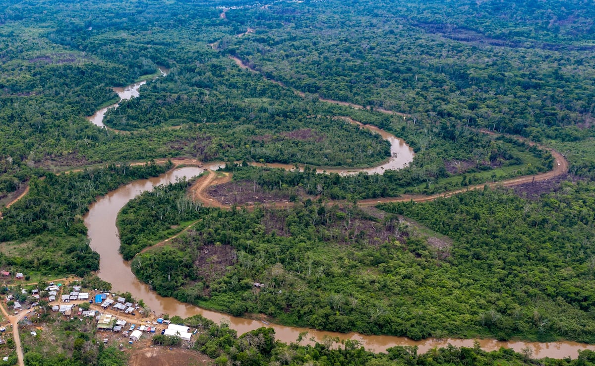 ‘Pasar la selva del Darién es un suicidio’