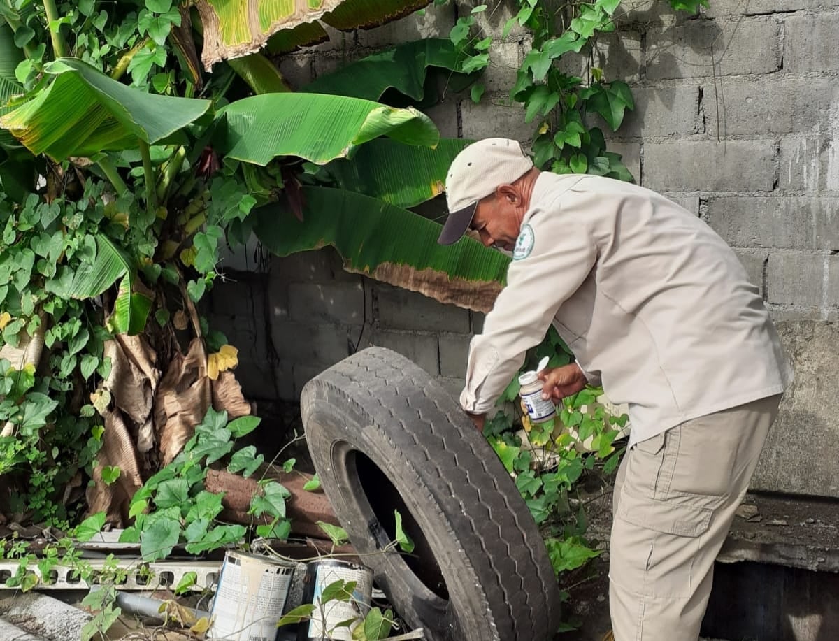 Estas son las regiones con más casos de dengue y buscan cómo prevenir nuevos brotes