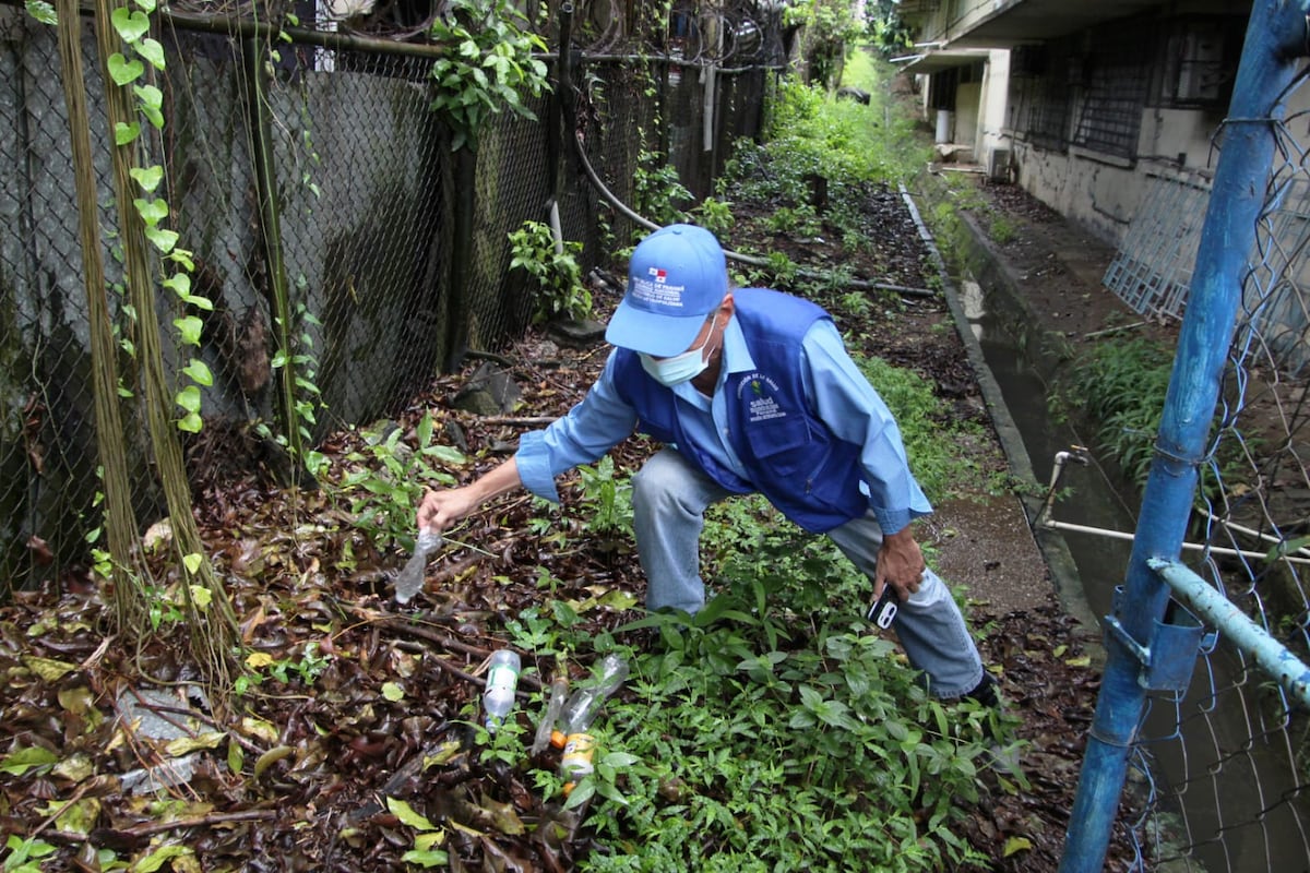 Panamá Norte en alerta por aumento de casos de dengue