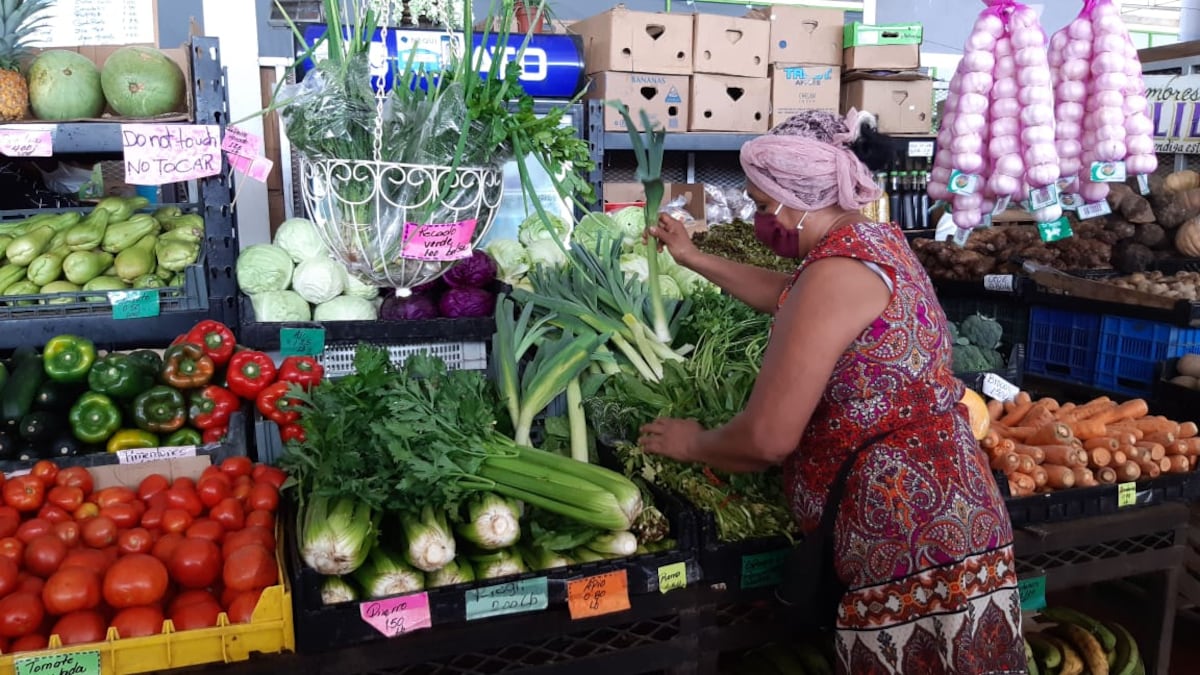 A falta de cebolla, aquí te decimos cómo sustituirla por otros productos