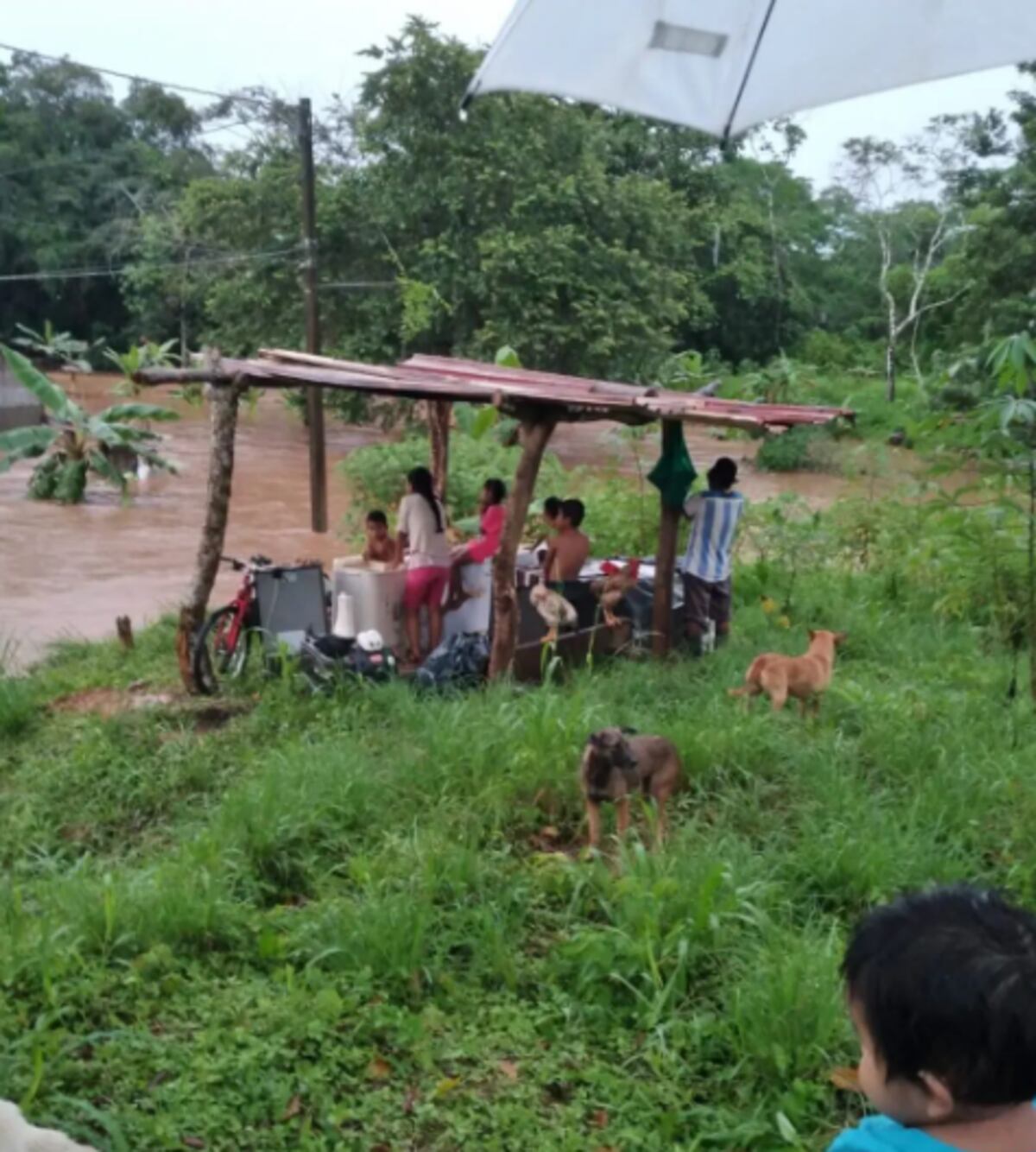 Necesitan ayuda. Muchas personas del distrito de Arraiján lo han perdido todo. Video