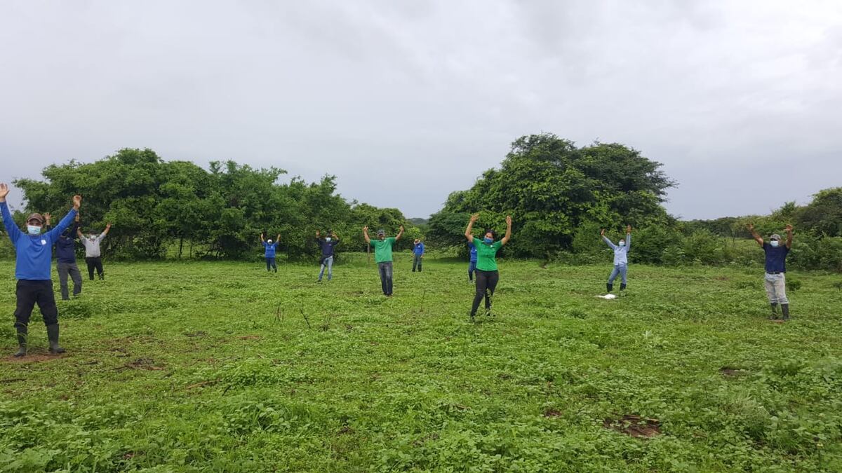 Celebran el día Nacional de la reforestación