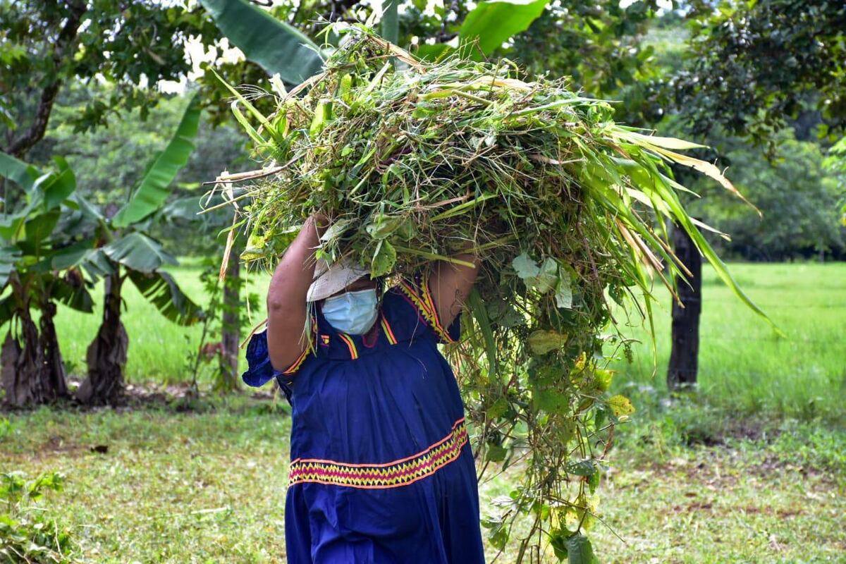 Panamá estará presente en Cumbre de Primeras Damas sobre derechos de la mujer rural