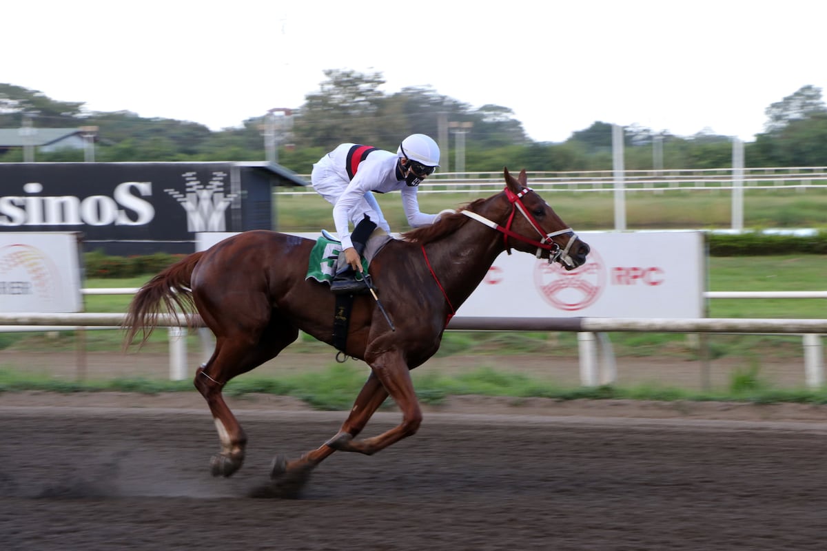 Hipódromo Presidente Remón correrá entre semana por la cuarentena de Navidad y Año Nuevo