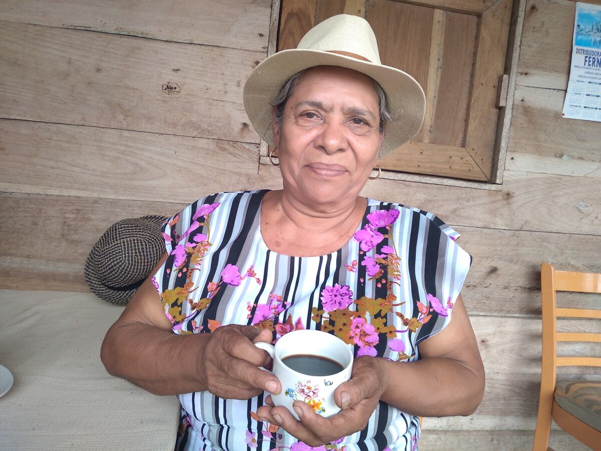 Café, la esperanza de productores en las montañas de Capira