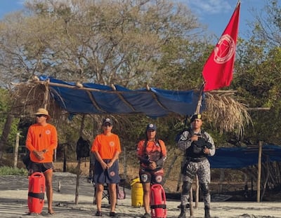 ¡Cocodrilo y mar bravo! Sinaproc mantiene bandera roja en varias playas del país
