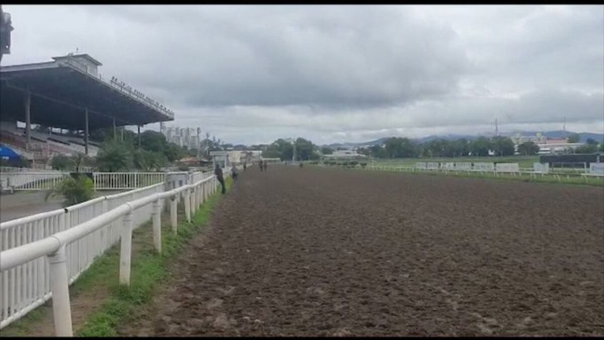 Gremios hípicos siguen conversaciones para abrir el Hipódromo Presidente Remón