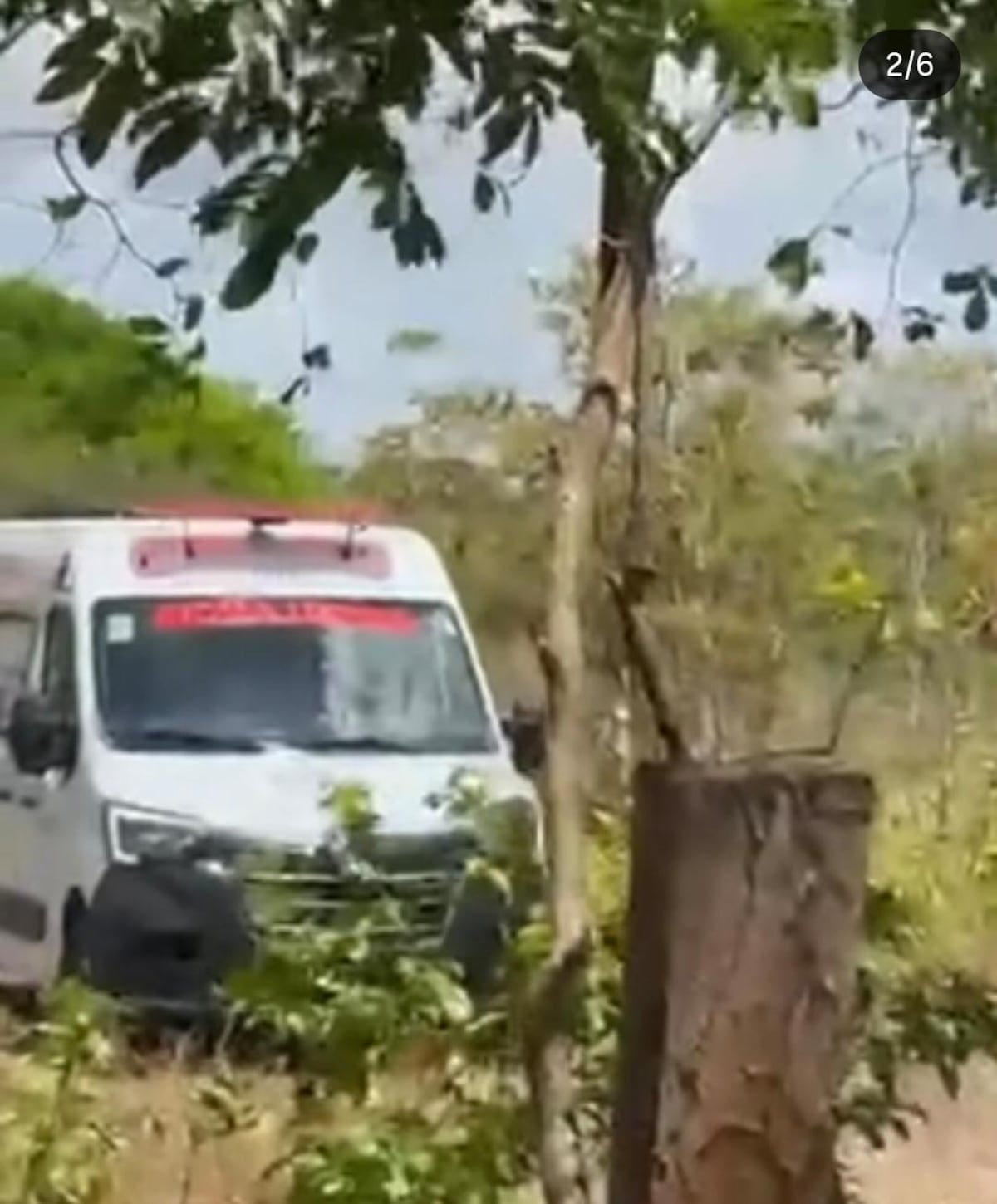 ¡Pánico! Feligreses y sacerdote fueron atacados por enjambre de abejas en pleno Vía Crucis