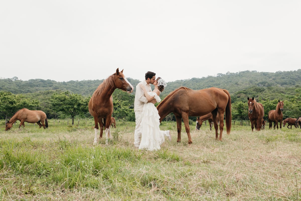 ‘El altar viene pronto’: Mafe Achurra y Diego de Obaldía celebran su boda civil
