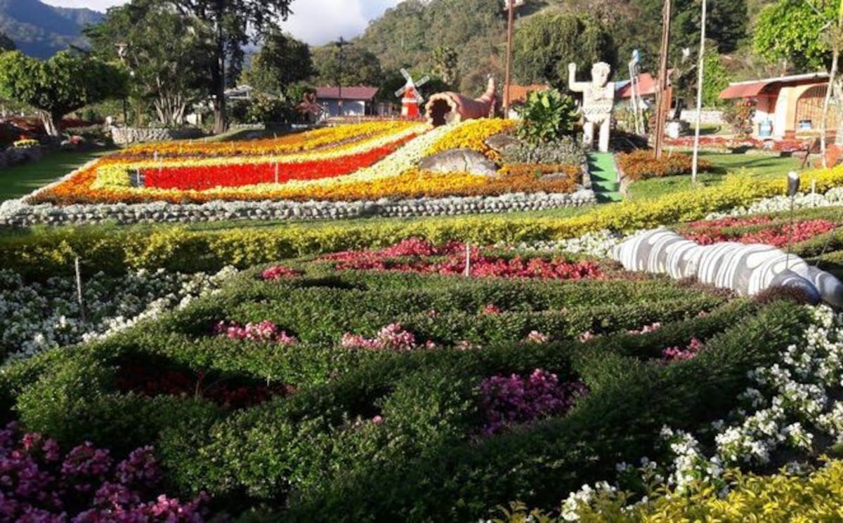 Se preparan. Feria de las Flores y del Café en Boquete se realizará del 13 al 23 de enero de 2022