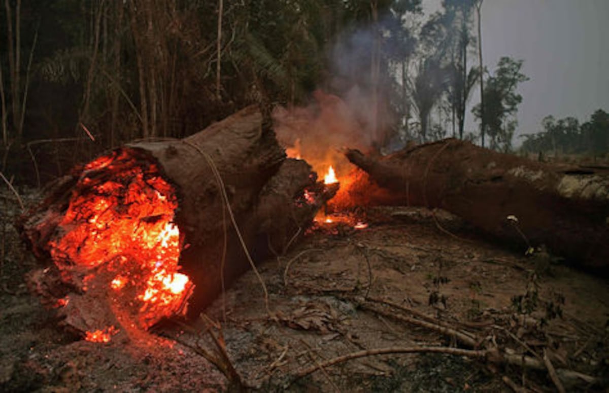 Brasil prohíbe por 60 días el uso de fuego para preparar siembra en Amazonía