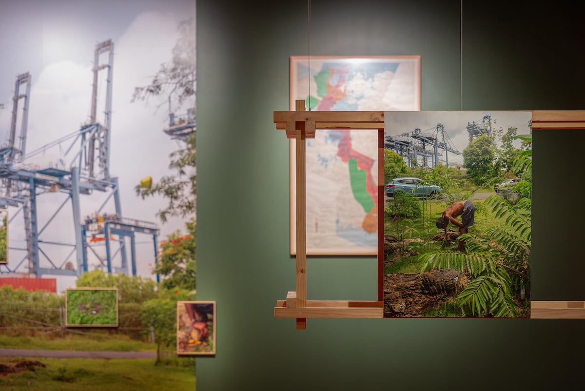 ‘El jardín de Mr. Brown’: el secreto del Canal que hoy se exhibe al público como memoria viva