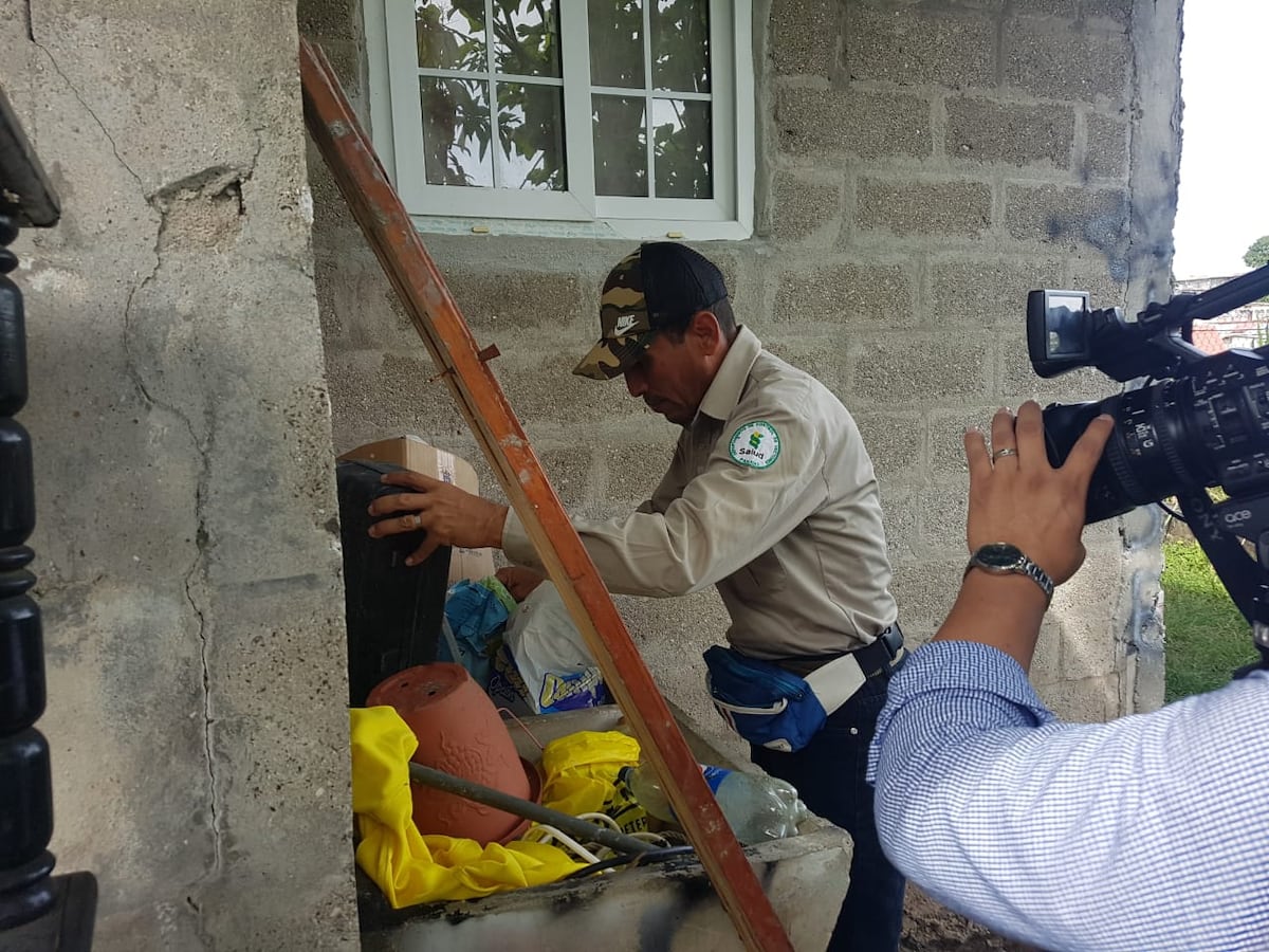 Creía que era resfriado y murió de dengue, una mujer embarazada. Los criaderos estaban donde los vecinos