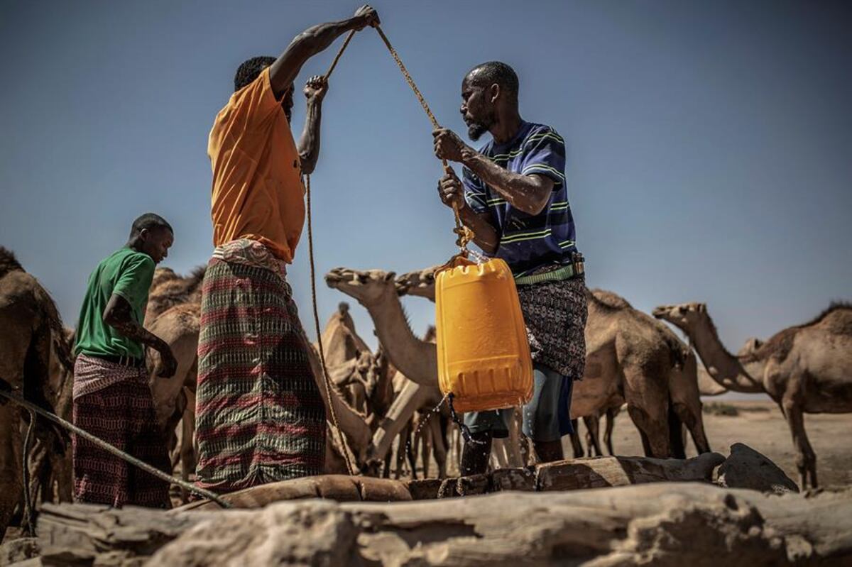 ONU: La Tierra se calentará 2,8° centígrados este siglo