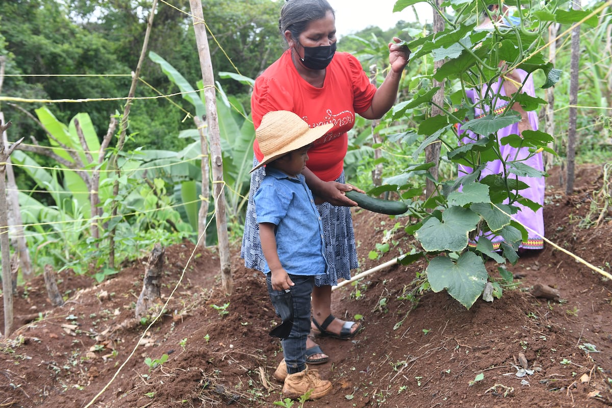 Empoderadas. Mujeres de la Comarca Ngäbe Buglé se unen para cultivar sus tierras