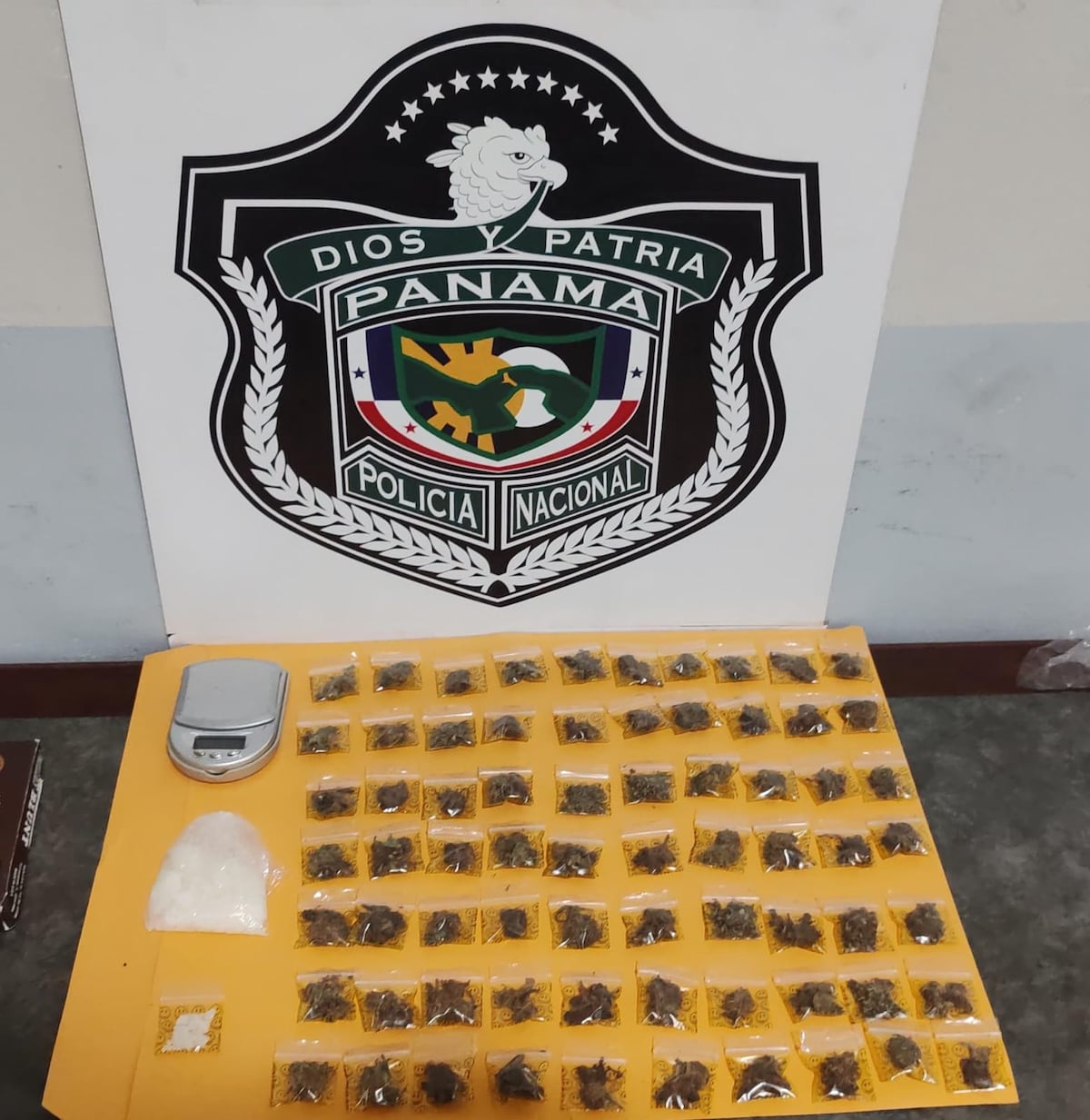 70 sobres tipo ziploc con hierba seca, polvo blanco y una pesa digital: esto ubicaron en un lote baldío en Tocumen +Video