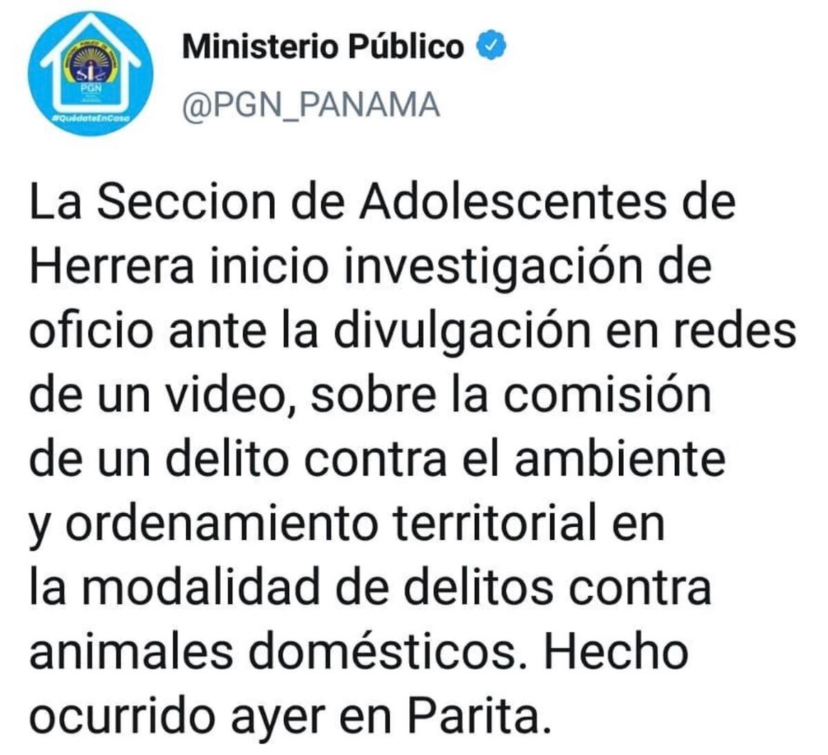 Video conmovió las redes. Abren investigación sobre perro que fue atado vivo y lanzado a un lagarto en Parita