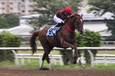 ¿Quién frena a Takao? El campeón se prepara para otro asalto a la gloria