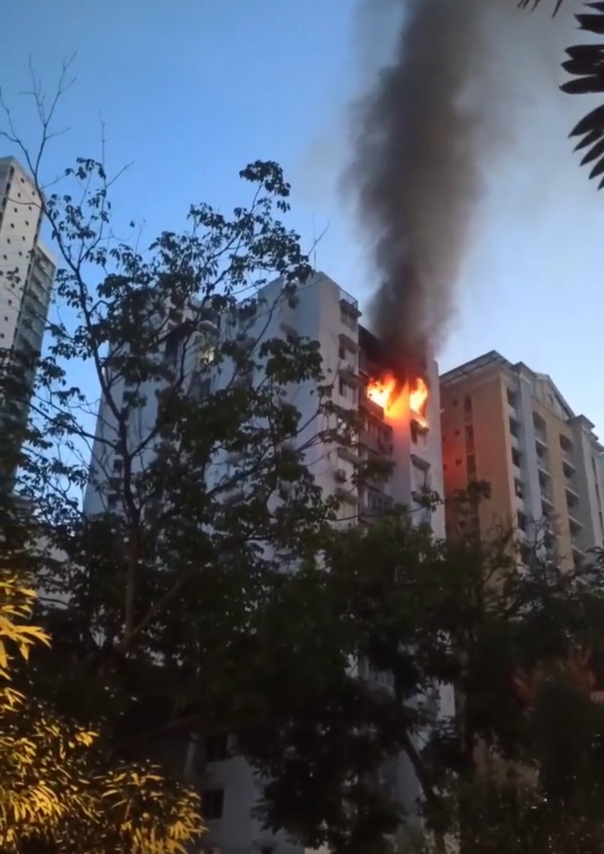 Incendio consume dos apartamentos en Vía Argentina | Video