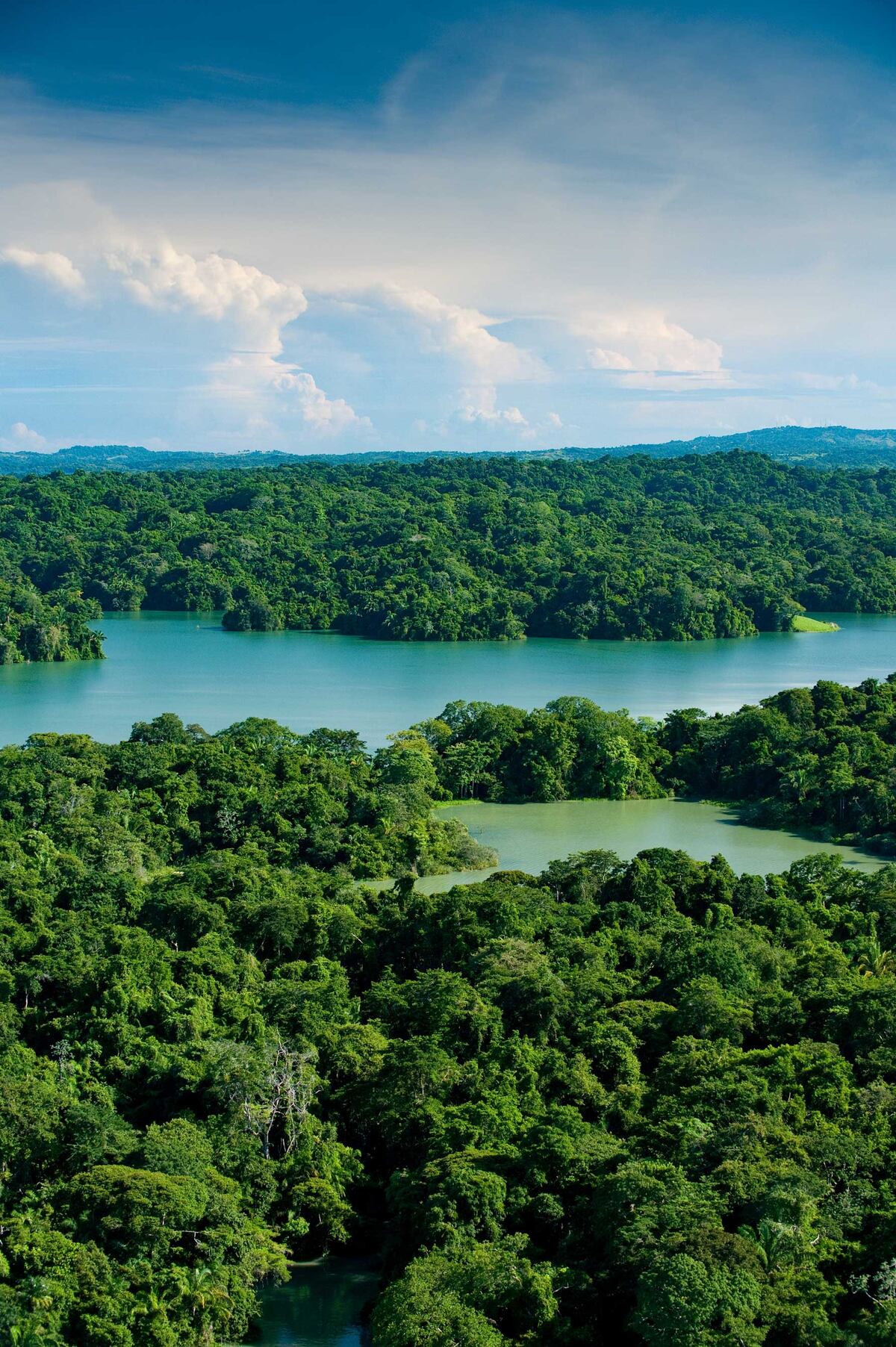 Crítico. La isla Barro Colorado ha perdido biodiversidad, aproximadamente una cuarta parte de sus especies de aves