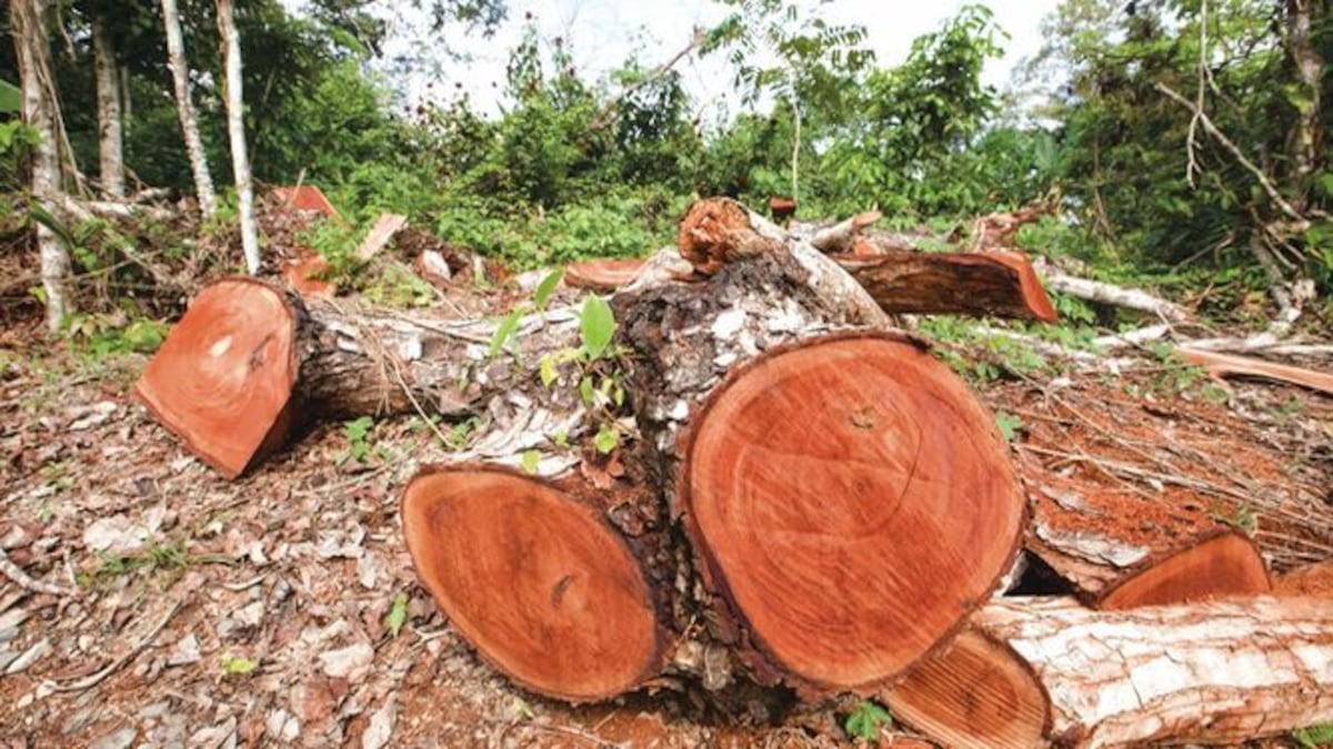 Ministro de Ambiente confiesa que tuvo Covid-19 y que vivió momentos de mucho estrés 