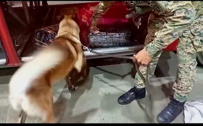 Lo llevaban oculto entre sacos y café: incautan más de 114 paquetes de droga en autobús Darién–Panamá