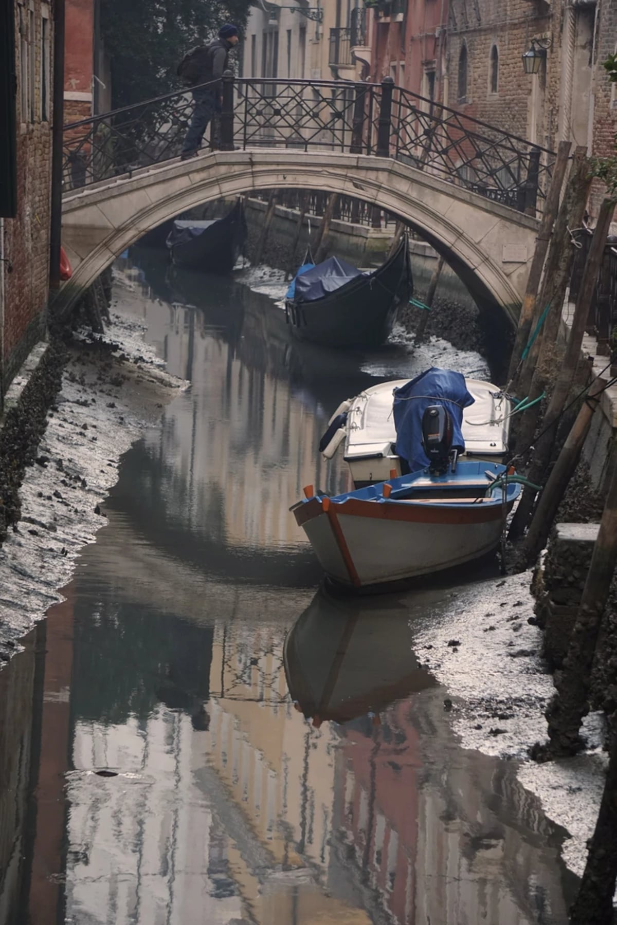 Sorprendente: Las imágenes de Venecia sin agua nunca antes vistas | Video 