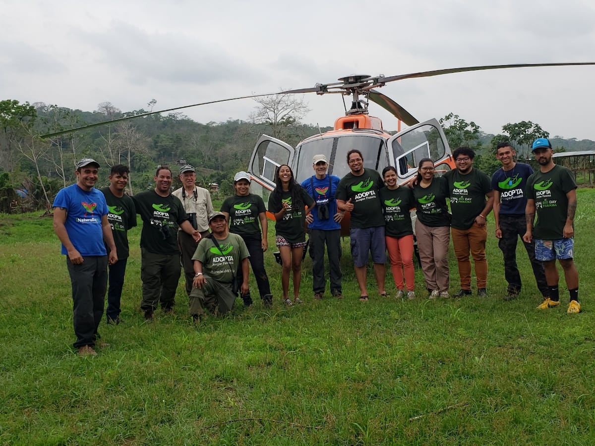 Plataformas que te ayudan a contar e identificar los pájaros que hay en Panamá 