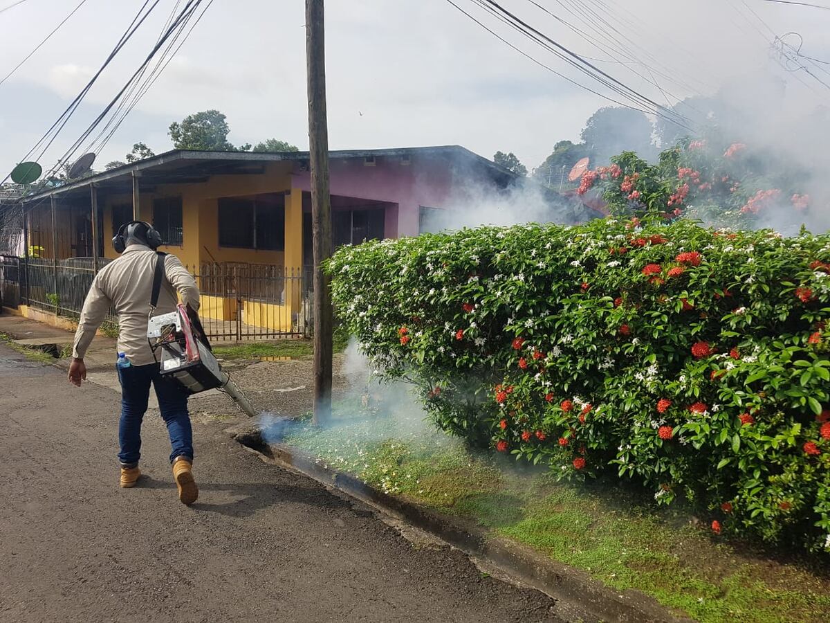 Creía que era resfriado y murió de dengue, una mujer embarazada. Los criaderos estaban donde los vecinos