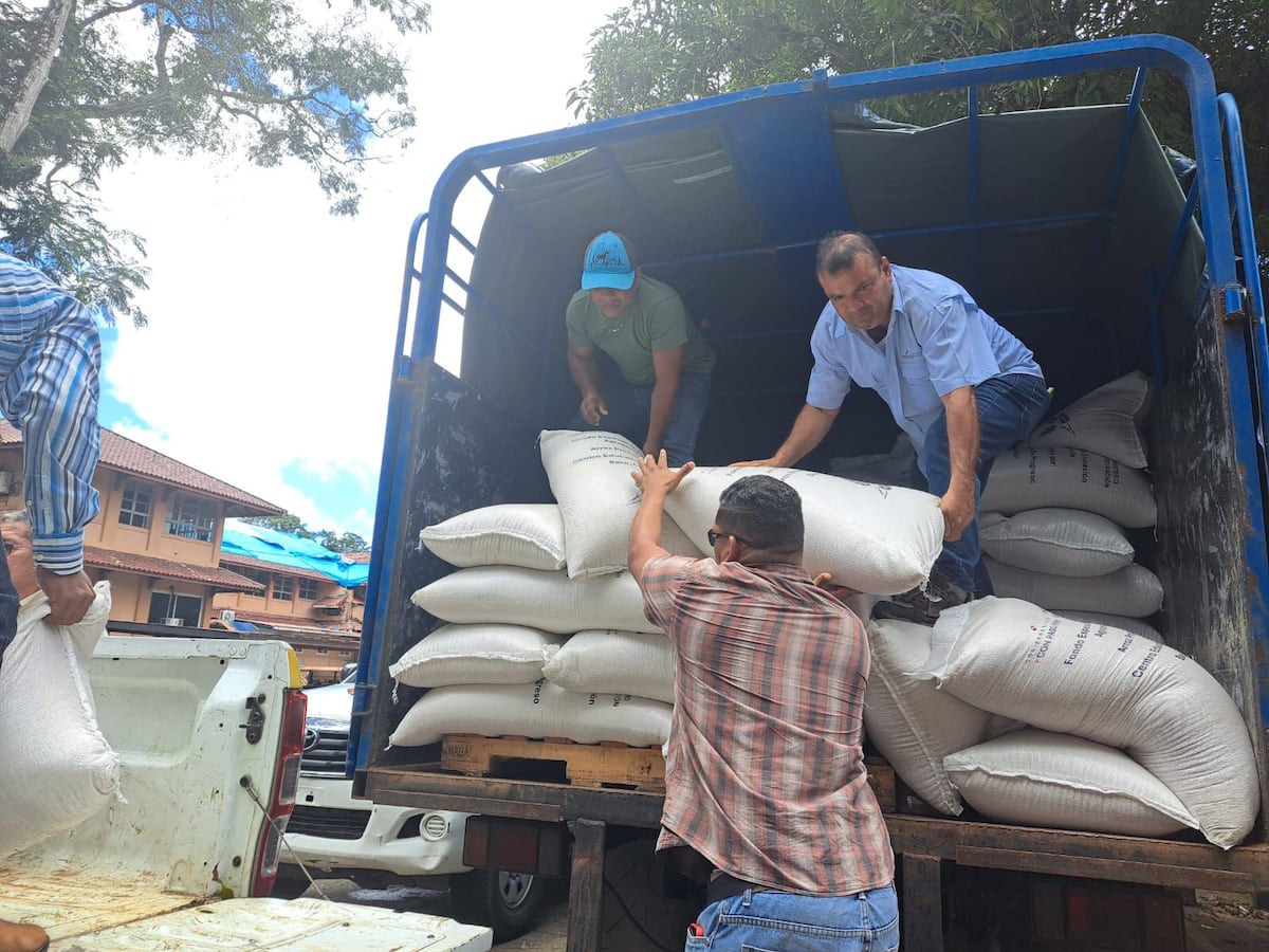 Granjas escolares cosechan 251 quintales de arroz para alimentar a 123 mil estudiantes