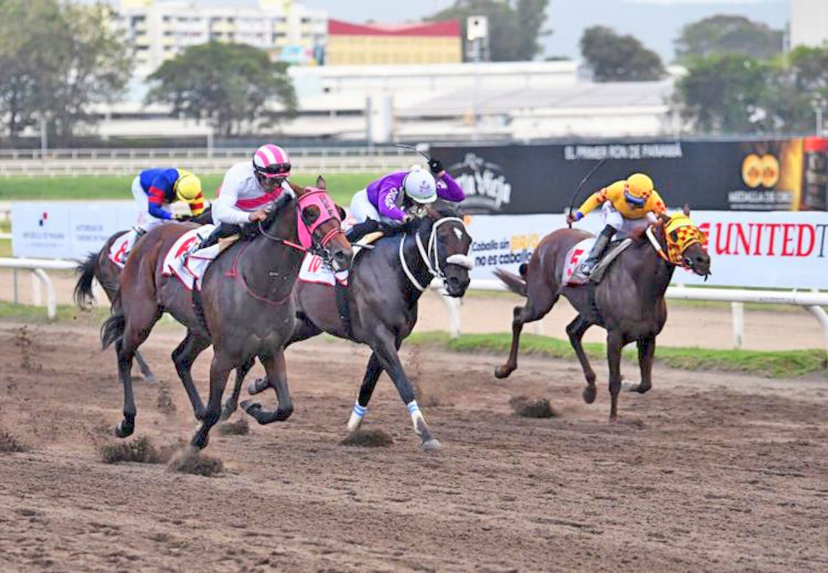 Cuatro clásicos hípicos llenarán de gloria el Hipódromo Presidente Remón