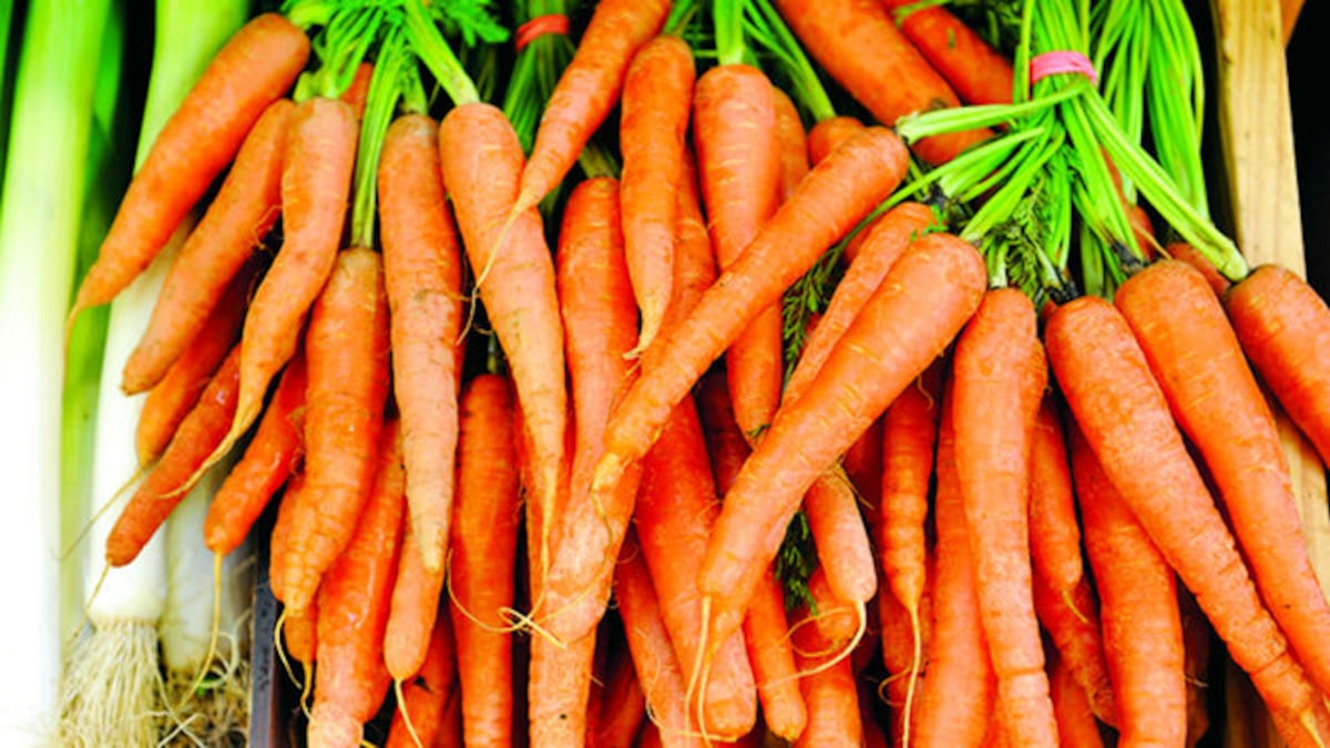 Alerta en EE. UU. por brote de e. coli en zanahorias orgánicas