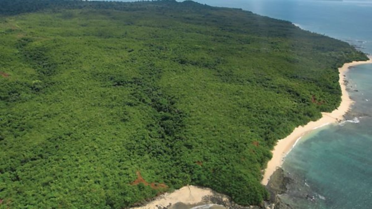 Crímenes impactantes: Los decapitados de Coiba