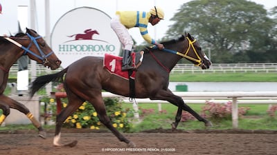 ‘Doña Perfecta’ impone su ley en el Hipódromo Presidente Remón y suma su cuarta victoria
