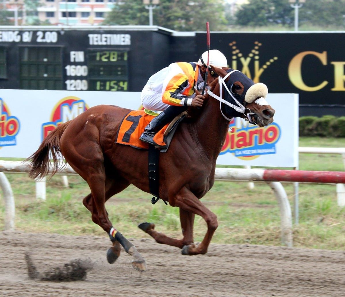 Las carreras de caballos están de regreso