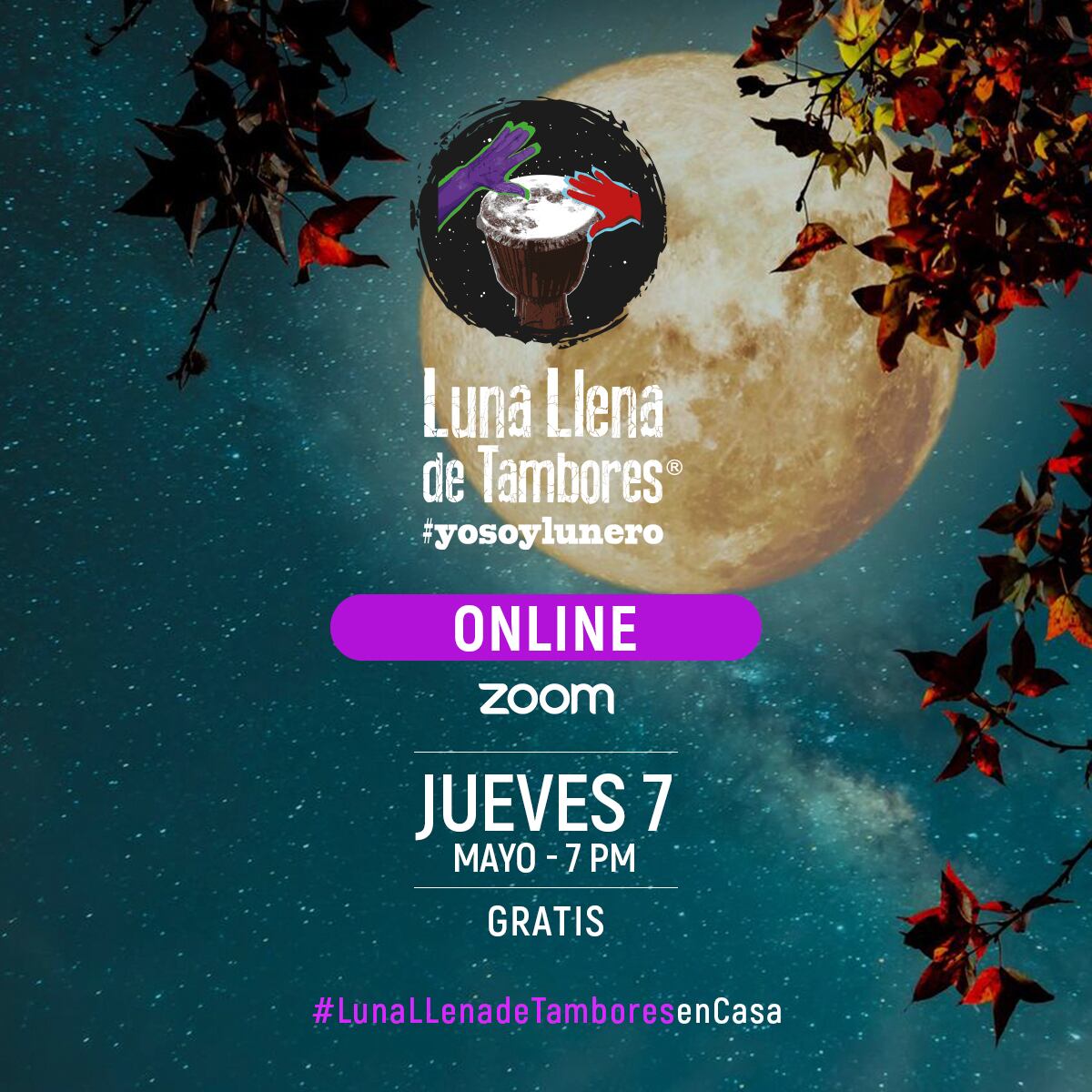 ‘Luna Llena de Tambores’. El confinamiento no puede parar el evento gustado por muchos panameños 