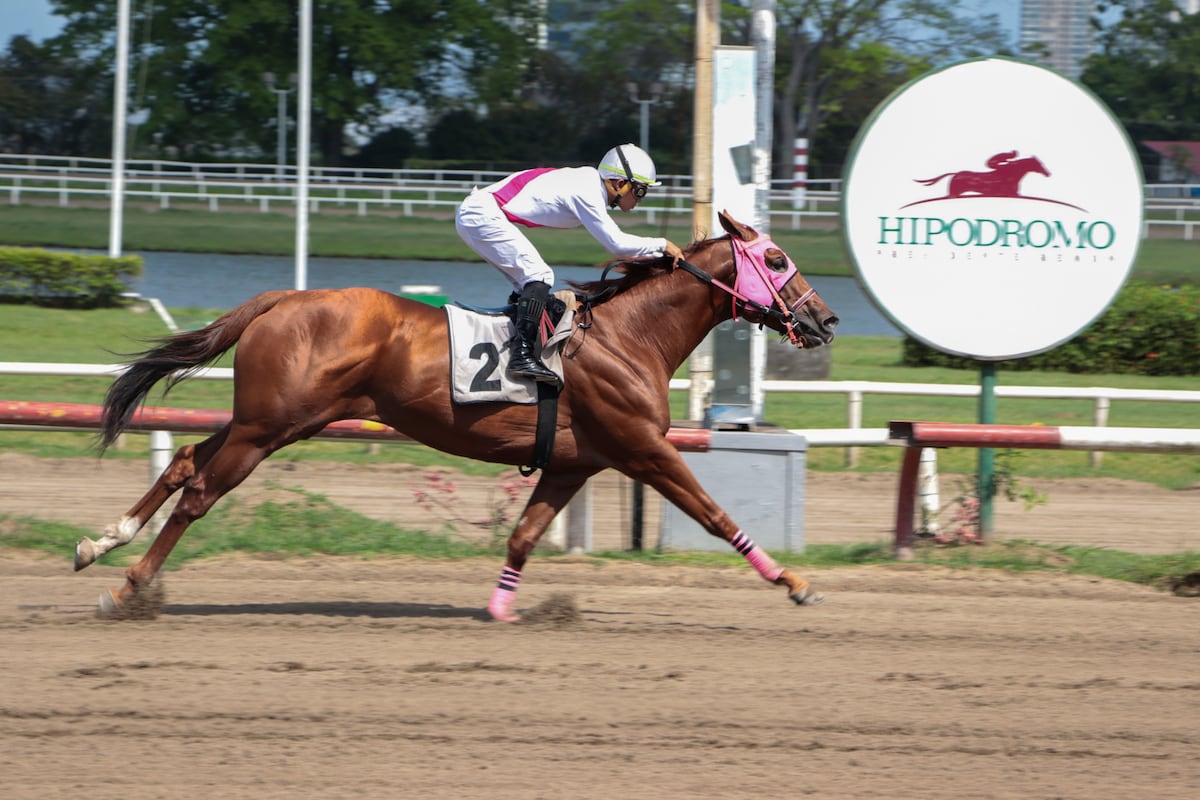 14 estrellas al galope: Todo listo para el Premio Especial “65 Aniversario de RPC” con un duelo inolvidable 