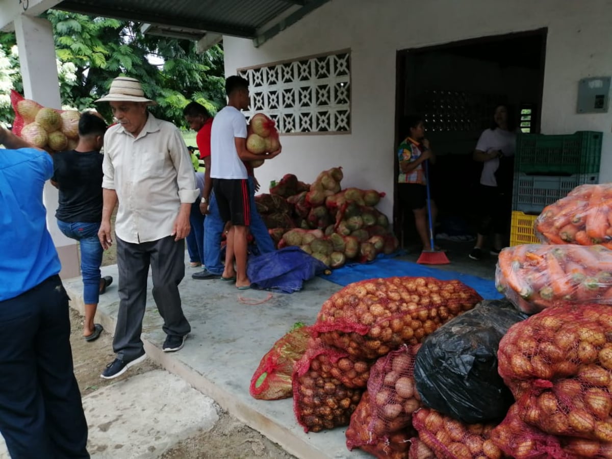 Aprueban crédito a favor de productores hasta por 100 mil dólares 