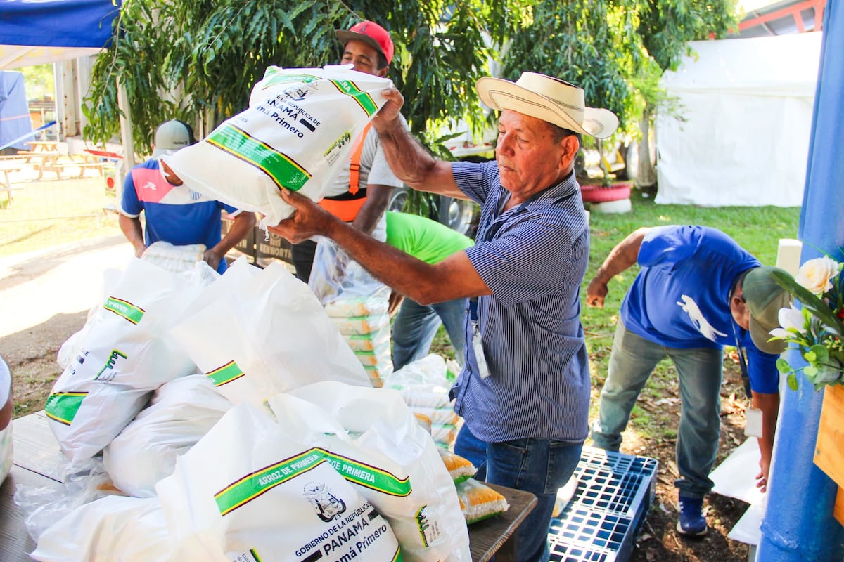 Nuevo sistema del IMA garantiza distribución justa de arroz en las Agroferias