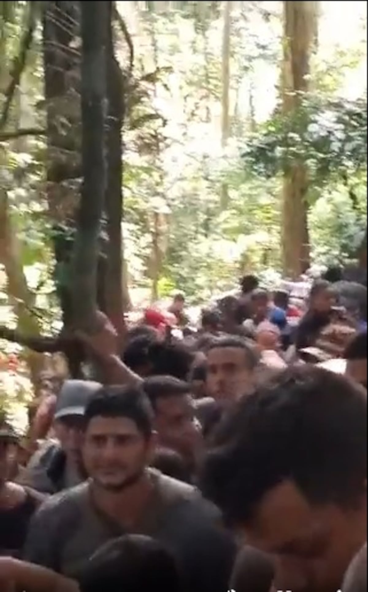 Esto se descontroló. Video muestra cómo viene por Darién una multitud de migrantes. Piden cerrar la frontera