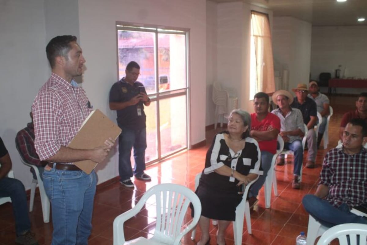 Reforzarán controles aduaneros para proteger a productores de ñame