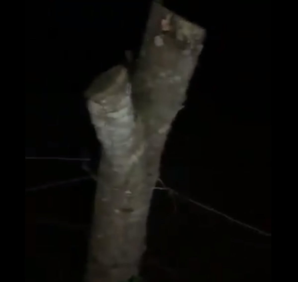 Terror. Aseguran que La Llorona se podría estar paseando por Chiriquí. Video