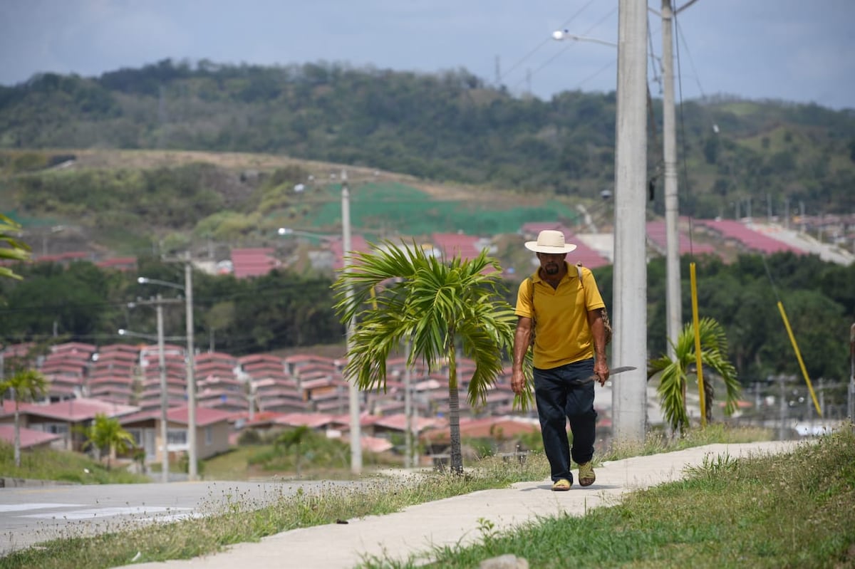 Editorial. Necesitamos un Panamá verde, digno e igualitario