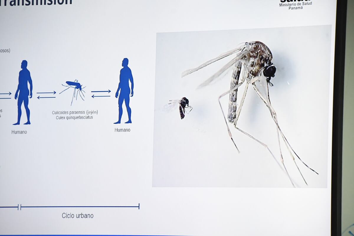 Alerta sanitaria en Darién: Detectan brote de virus oropouche con 34 casos positivos